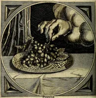 An illustration from Proteus, ofte, Minne-beelden verandert in sinne-beelden (1627)