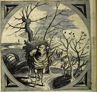 An illustration from Proteus, ofte, Minne-beelden verandert in sinne-beelden (1627)