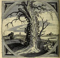 An illustration from Proteus, ofte, Minne-beelden verandert in sinne-beelden (1627)