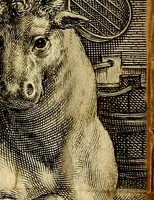 An illustration from Proteus, ofte, Minne-beelden verandert in sinne-beelden (1627)