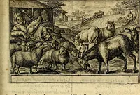 An illustration from Proteus, ofte, Minne-beelden verandert in sinne-beelden (1627)
