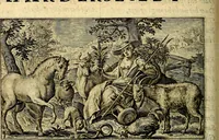 An illustration from Proteus, ofte, Minne-beelden verandert in sinne-beelden (1627)