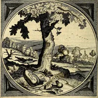 An illustration from Proteus, ofte, Minne-beelden verandert in sinne-beelden (1627)