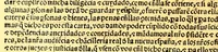 An illustration from Prouisio[n]es cedulas instruciones de su Magestad: : ordena[n]ças d[e] difu[n]tos y audie[n]cia, p[ar]a la buena expedicio[n] de los negocios, y administracio[n] d[e] justicia: y gouernacio[n] d[e]sta Nueua España: y p[ar]a el bue[n] tratamie[n]to y [con]seruacio[n] d[e] los yndios, dende el año 1525. hasta este presente de. 63 (1563)