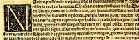 An illustration from Prouisio[n]es cedulas instruciones de su Magestad: : ordena[n]ças d[e] difu[n]tos y audie[n]cia, p[ar]a la buena expedicio[n] de los negocios, y administracio[n] d[e] justicia: y gouernacio[n] d[e]sta Nueua España: y p[ar]a el bue[n] tratamie[n]to y [con]seruacio[n] d[e] los yndios, dende el año 1525. hasta este presente de. 63 (1563)