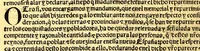 An illustration from Prouisio[n]es cedulas instruciones de su Magestad: : ordena[n]ças d[e] difu[n]tos y audie[n]cia, p[ar]a la buena expedicio[n] de los negocios, y administracio[n] d[e] justicia: y gouernacio[n] d[e]sta Nueua España: y p[ar]a el bue[n] tratamie[n]to y [con]seruacio[n] d[e] los yndios, dende el año 1525. hasta este presente de. 63 (1563)