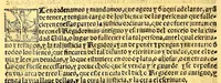 An illustration from Prouisio[n]es cedulas instruciones de su Magestad: : ordena[n]ças d[e] difu[n]tos y audie[n]cia, p[ar]a la buena expedicio[n] de los negocios, y administracio[n] d[e] justicia: y gouernacio[n] d[e]sta Nueua España: y p[ar]a el bue[n] tratamie[n]to y [con]seruacio[n] d[e] los yndios, dende el año 1525. hasta este presente de. 63 (1563)