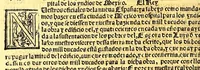 An illustration from Prouisio[n]es cedulas instruciones de su Magestad: : ordena[n]ças d[e] difu[n]tos y audie[n]cia, p[ar]a la buena expedicio[n] de los negocios, y administracio[n] d[e] justicia: y gouernacio[n] d[e]sta Nueua España: y p[ar]a el bue[n] tratamie[n]to y [con]seruacio[n] d[e] los yndios, dende el año 1525. hasta este presente de. 63 (1563)