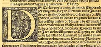 An illustration from Prouisio[n]es cedulas instruciones de su Magestad: : ordena[n]ças d[e] difu[n]tos y audie[n]cia, p[ar]a la buena expedicio[n] de los negocios, y administracio[n] d[e] justicia: y gouernacio[n] d[e]sta Nueua España: y p[ar]a el bue[n] tratamie[n]to y [con]seruacio[n] d[e] los yndios, dende el año 1525. hasta este presente de. 63 (1563)