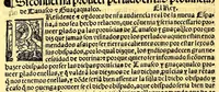 An illustration from Prouisio[n]es cedulas instruciones de su Magestad: : ordena[n]ças d[e] difu[n]tos y audie[n]cia, p[ar]a la buena expedicio[n] de los negocios, y administracio[n] d[e] justicia: y gouernacio[n] d[e]sta Nueua España: y p[ar]a el bue[n] tratamie[n]to y [con]seruacio[n] d[e] los yndios, dende el año 1525. hasta este presente de. 63 (1563)