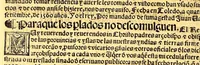 An illustration from Prouisio[n]es cedulas instruciones de su Magestad: : ordena[n]ças d[e] difu[n]tos y audie[n]cia, p[ar]a la buena expedicio[n] de los negocios, y administracio[n] d[e] justicia: y gouernacio[n] d[e]sta Nueua España: y p[ar]a el bue[n] tratamie[n]to y [con]seruacio[n] d[e] los yndios, dende el año 1525. hasta este presente de. 63 (1563)