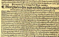 An illustration from Prouisio[n]es cedulas instruciones de su Magestad: : ordena[n]ças d[e] difu[n]tos y audie[n]cia, p[ar]a la buena expedicio[n] de los negocios, y administracio[n] d[e] justicia: y gouernacio[n] d[e]sta Nueua España: y p[ar]a el bue[n] tratamie[n]to y [con]seruacio[n] d[e] los yndios, dende el año 1525. hasta este presente de. 63 (1563)