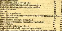 An illustration from Prouisio[n]es cedulas instruciones de su Magestad: : ordena[n]ças d[e] difu[n]tos y audie[n]cia, p[ar]a la buena expedicio[n] de los negocios, y administracio[n] d[e] justicia: y gouernacio[n] d[e]sta Nueua España: y p[ar]a el bue[n] tratamie[n]to y [con]seruacio[n] d[e] los yndios, dende el año 1525. hasta este presente de. 63 (1563)