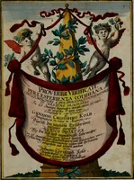 An illustration from Proverbii verificati : per l'esperienza cotidiana : come li megliori e più piacevoli informatori di massime salutifere : in 25 stampe leggiadre et espicationi dé versi, al profito d'ogni uno = Durch di tägliche Erfahrung beglaubt gemachte Sprich Wörter ... (1718)