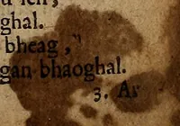 An illustration from Psalma Dhaibhidh a nMeadrachd. : Do rr an phriomh-chanamn. (1684)