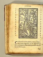 An illustration from Psalmodia christiana, y sermonario de los sanctos del año, en langua mexicana: (1583)