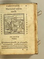 An illustration from Psalmodia christiana, y sermonario de los sanctos del año, en langua mexicana: (1583)
