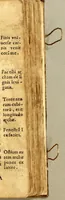An illustration from Psalmodia christiana, y sermonario de los sanctos del año, en langua mexicana: (1583)