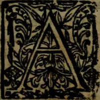 Picture 4 of 17 from Pseudodoxia epidemica : or, enquiries into very many received tenents, and commonly presumed truths (1658), leaf 288