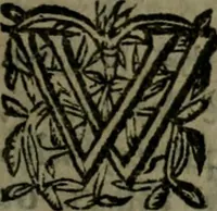 Picture 10 of 17 from Pseudodoxia epidemica : or, enquiries into very many received tenents, and commonly presumed truths (1658), leaf 478