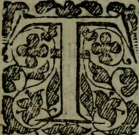 Picture 17 of 17 from Pseudodoxia epidemica : or, enquiries into very many received tenents, and commonly presumed truths (1658), leaf 520
