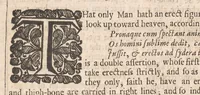 An illustration from Pseudoxia epidemica; or, Enquiries into very many received tenents, and commonly presumed truths. Whereunto is added Religio medici: and a discourse of the sepulchral-urnes lately found in Norfolk.Together with the Garden of Cyrus .. (1659)