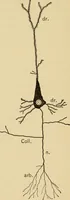 An illustration from The psychology of suggestion; a research into the subconscious nature of man and society (1898)