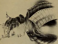 Picture 2 of 149 from The psychology of dress (1920), leaf 40