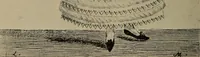 An illustration from The psychology of dress (1920)