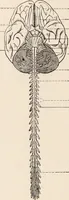 An illustration from Psychotherapy; a course of reading in sound psychology, sound medicine and sound religion. (1908)