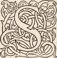 Picture 29 of 43 from Psychotherapy; a course of reading in sound psychology, sound medicine and sound religion. (1909), leaf 271