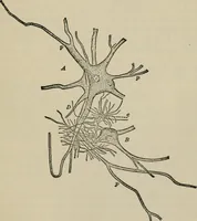 An illustration from Psycho-therapy in the practice of medicine and surgery (1907)