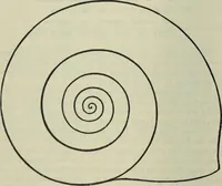An illustration from Fors clavigera. Letters to the workmen and labourers of Great Britain (1900)