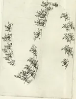 Picture 22 of 54 from [Publications relating to the wedding of Leopold I, Holy Roman Emperor, and Margarita Teresa, Infanta of Spain] (1666), leaf 61