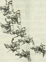 Picture 24 of 54 from [Publications relating to the wedding of Leopold I, Holy Roman Emperor, and Margarita Teresa, Infanta of Spain] (1666), leaf 62