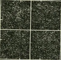 An illustration from Public school drawing manual : for teachers and students (1892)