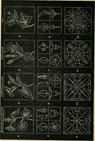 An illustration from Public school drawing manual : for teachers and students (1892)