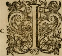 An illustration from Pub. Virgilii Maronis Bucolicorum, eclogae X. Georgicorvm, libri IIII. Aeneidos, libri XII, et in ea, Mavri Servii Honorati grammatici commentarii, ex antiquiss, exemplaribus longè meliores et auctiores. ex bibliotheca Petri Danielis I.C. (1610)
