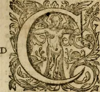 An illustration from Pub. Virgilii Maronis Bucolicorum, eclogae X. Georgicorvm, libri IIII. Aeneidos, libri XII, et in ea, Mavri Servii Honorati grammatici commentarii, ex antiquiss, exemplaribus longè meliores et auctiores. ex bibliotheca Petri Danielis I.C. (1610)