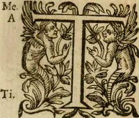 An illustration from Pub. Virgilii Maronis Bucolicorum, eclogae X. Georgicorvm, libri IIII. Aeneidos, libri XII, et in ea, Mavri Servii Honorati grammatici commentarii, ex antiquiss, exemplaribus longè meliores et auctiores. ex bibliotheca Petri Danielis I.C. (1610)
