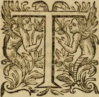 An illustration from Pub. Virgilii Maronis Bucolicorum, eclogae X. Georgicorvm, libri IIII. Aeneidos, libri XII, et in ea, Mavri Servii Honorati grammatici commentarii, ex antiquiss, exemplaribus longè meliores et auctiores. ex bibliotheca Petri Danielis I.C. (1610)