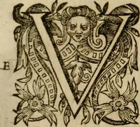 An illustration from Pub. Virgilii Maronis Bucolicorum, eclogae X. Georgicorvm, libri IIII. Aeneidos, libri XII, et in ea, Mavri Servii Honorati grammatici commentarii, ex antiquiss, exemplaribus longè meliores et auctiores. ex bibliotheca Petri Danielis I.C. (1610)
