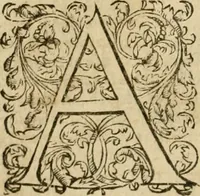 An illustration from Pub. Virgilii Maronis Bucolicorum, eclogae X. Georgicorvm, libri IIII. Aeneidos, libri XII, et in ea, Mavri Servii Honorati grammatici commentarii, ex antiquiss, exemplaribus longè meliores et auctiores. ex bibliotheca Petri Danielis I.C. (1610)
