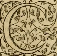 An illustration from Pub. Virgilii Maronis Bucolicorum, eclogae X. Georgicorvm, libri IIII. Aeneidos, libri XII, et in ea, Mavri Servii Honorati grammatici commentarii, ex antiquiss, exemplaribus longè meliores et auctiores. ex bibliotheca Petri Danielis I.C. (1610)