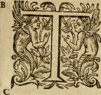 An illustration from Pub. Virgilii Maronis Bucolicorum, eclogae X. Georgicorvm, libri IIII. Aeneidos, libri XII, et in ea, Mavri Servii Honorati grammatici commentarii, ex antiquiss, exemplaribus longè meliores et auctiores. ex bibliotheca Petri Danielis I.C. (1610)