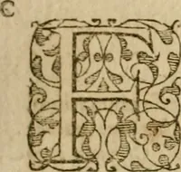 An illustration from Pub. Virgilii Maronis Bucolicorum, eclogae X. Georgicorvm, libri IIII. Aeneidos, libri XII, et in ea, Mavri Servii Honorati grammatici commentarii, ex antiquiss, exemplaribus longè meliores et auctiores. ex bibliotheca Petri Danielis I.C. (1610)
