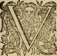 An illustration from Pub. Virgilii Maronis Bucolicorum, eclogae X. Georgicorvm, libri IIII. Aeneidos, libri XII, et in ea, Mavri Servii Honorati grammatici commentarii, ex antiquiss, exemplaribus longè meliores et auctiores. ex bibliotheca Petri Danielis I.C. (1610)