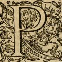 An illustration from Pub. Virgilii Maronis Bucolicorum, eclogae X. Georgicorvm, libri IIII. Aeneidos, libri XII, et in ea, Mavri Servii Honorati grammatici commentarii, ex antiquiss, exemplaribus longè meliores et auctiores. ex bibliotheca Petri Danielis I.C. (1610)