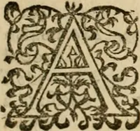 An illustration from Pub. Virgilii Maronis Bucolicorum, eclogae X. Georgicorvm, libri IIII. Aeneidos, libri XII, et in ea, Mavri Servii Honorati grammatici commentarii, ex antiquiss, exemplaribus longè meliores et auctiores. ex bibliotheca Petri Danielis I.C. (1610)