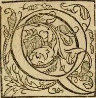 An illustration from Pub. Virgilii Maronis Bucolicorum, eclogae X. Georgicorvm, libri IIII. Aeneidos, libri XII, et in ea, Mavri Servii Honorati grammatici commentarii, ex antiquiss, exemplaribus longè meliores et auctiores. ex bibliotheca Petri Danielis I.C. (1610)